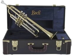 Bach Stradivarius 190-43 -Instrument, das ist es! 02045131 57gayCIsX8rQ4y 1280x1280