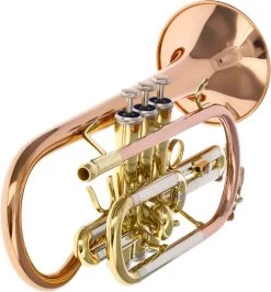 Eastman ECR-501R -Instrument, das ist es! 03139001 36EpAdzgX4obqp 1280x1280