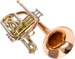 Eastman ECR-501R -Instrument, das ist es! 03139001 4qzzmolz0yRZSv 1280x1280