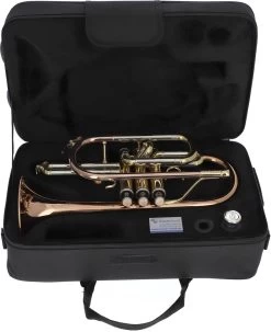 Eastman ECR-501R -Instrument, das ist es! 03139001 5NL4npi4d7ROjx 1280x1280