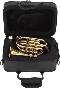 Leggiero LPT-101 -Instrument, das ist es! 03670011 315LrjCzawiAXY 1280x1280