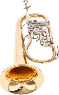 B&S 3017/2TR-L -Instrument, das ist es! 04040003 7BwRBH6QSJquvi 1280x1280