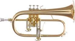 B&S Challenger I 3145G-L