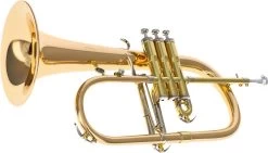 Courtois AC154R-1-0 -Instrument, das ist es! 04120001 5OWm77stO6WOop 1280x1280