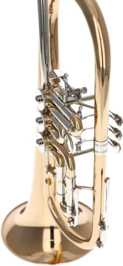 Reisser Academia RFH-120T -Instrument, das ist es! 04521001 35puTmjoyRpvTy 1280x1280