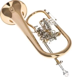 Reisser Academia RFH-120T -Instrument, das ist es! 04521001 4zRrSTxE0qqEK1 1280x1280