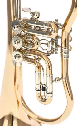 Worischek D16 -Instrument, das ist es! 04709005 3gwBCECPytpmCH 1280x1280