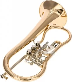 Worischek D16 -Instrument, das ist es! 04709005 4N1JuEPLnrDCPr 1280x1280