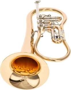 Worischek D16 -Instrument, das ist es! 04709005 52S0wcxHJ5OOqT 1280x1280