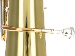 Miraphone 495A07000 Hagen Reisser Edition -Instrument, das ist es! 10400081 5 1280x1280