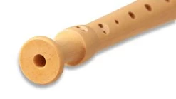 Mollenhauer Fipple Tere 17212 -Instrument, das ist es! 13410230 4bZSoWGVBHZF6A 1280x1280