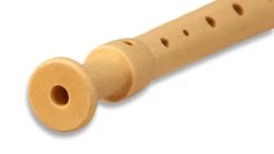 Mollenhauer Fipple Lere 17311 -Instrument, das ist es! 13410236 4 1280x1280