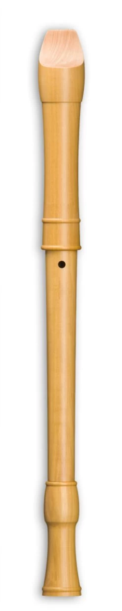 Mollenhauer Canta 2256 -Instrument, das ist es! 13410321 2qTT5pPocaOtjL 1280x1280