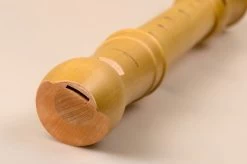 Mollenhauer Canta 2256 -Instrument, das ist es! 13410321 3pePTsQiSbS9PO 1280x1280