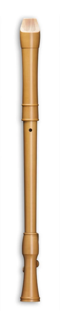 Mollenhauer Canta 2446 -Instrument, das ist es! 13410333 2eW83UXanG72T4 1280x1280