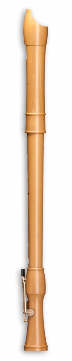 Mollenhauer Canta 2446 -Instrument, das ist es! 13410333 3Y2o03lypjQpSq 1280x1280