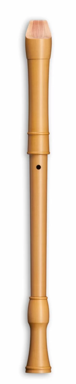 Mollenhauer Canta 2466 -Instrument, das ist es! 13410335 2 1280x1280