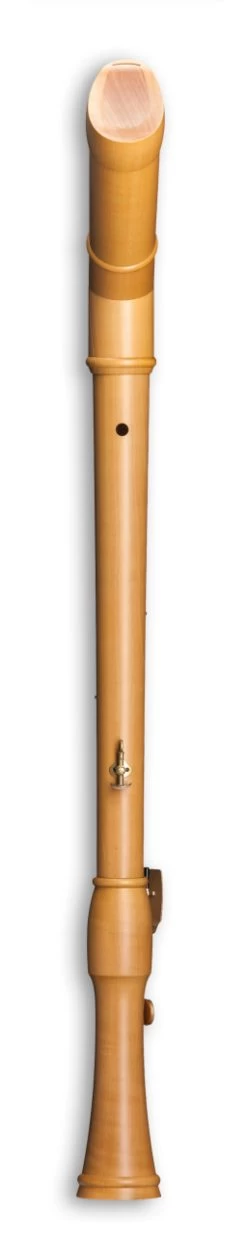 Mollenhauer Canta 2546K -Instrument, das ist es! 13410361 3WmWqTvcwxdteu 1280x1280