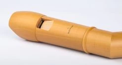 Mollenhauer Canta 2546K -Instrument, das ist es! 13410361 6lzfNukRrTbeAg 1280x1280