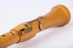 Mollenhauer Canta 2546K -Instrument, das ist es! 13410361 8DniGRHFkIoe89 1280x1280