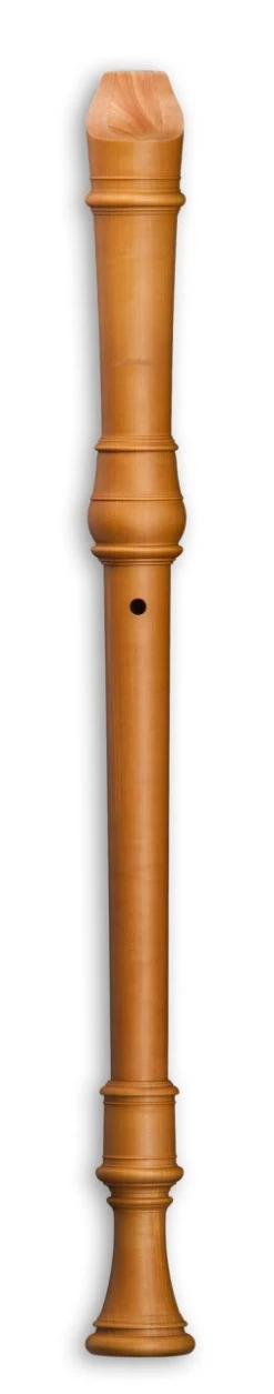 Mollenhauer Denner 5406 -Instrument, das ist es! 13410441 2vgXjkQNVGzsbn 1280x1280