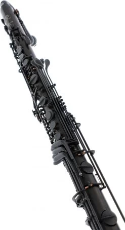 Selmer Privilege SE-CP25B -Instrument, das ist es! 17595011 4 1280x1280