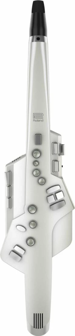 Roland Aerophone AE-10