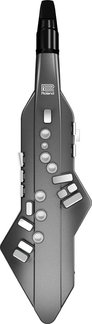 Roland Aerophone AE-05 GO 1 Roland Aerophone AE-05 GO