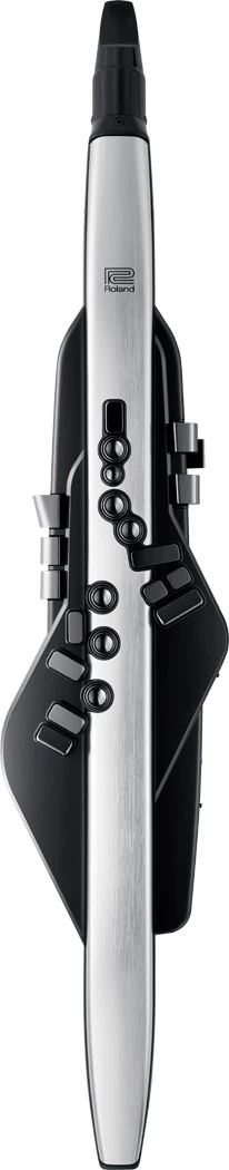 Roland Aerophone AE-30 Pro