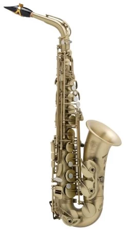 Selmer Signature SE-ASIP