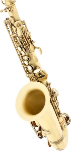 Selmer Reference 54 SE-ARP -Instrument, das ist es! 18595067 5Mqgpo7OH5losO 1280x1280