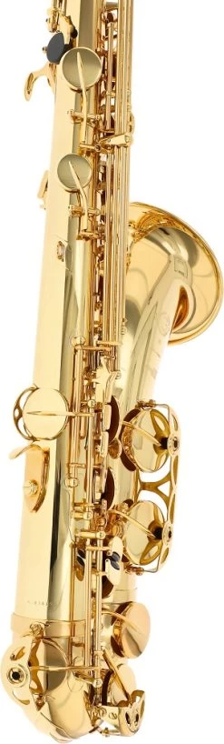Selmer Serie III SE-T3L -Instrument, das ist es! 18595087 4vfBXErkzlzXaw 1280x1280