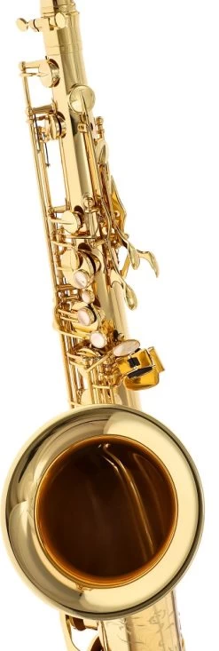 Selmer Serie III SE-T3L -Instrument, das ist es! 18595087 5D6IucEz8flXlZ 1280x1280