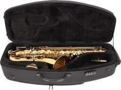 Selmer Serie III SE-T3L -Instrument, das ist es! 18595087 7UJr056HH2WCcU 1280x1280