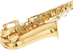 Trevor James Alphasax 371A -Instrument, das ist es! 18655001 4kBjHc6K5s1lvr 1280x1280