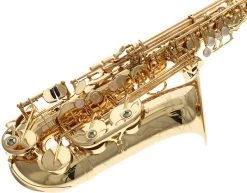 Yanagisawa A-WO1 Professional -Instrument, das ist es! 18745018 5rDJPFR8tHyCZa 1280x1280