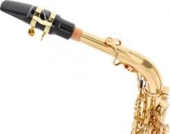 Yanagisawa A-WO10 Elite -Instrument, das ist es! 18745022 6wGnzWj3zX9jSA 1280x1280