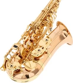 Yanagisawa A-WO20 Elite -Instrument, das ist es! 18745023 3 1280x1280