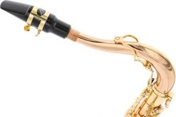 Yanagisawa T-WO20 Elite -Instrument, das ist es! 18745032 6 1280x1280