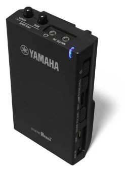 YAMAHA SB3J Waldhorn -Instrument, das ist es! 52740730 2lIo8z55slH78I 1280x1280