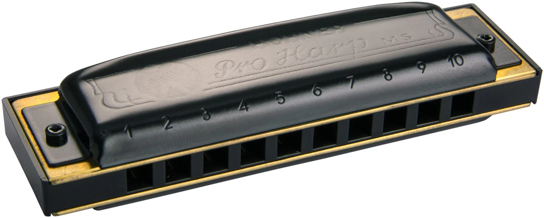 Hohner Pro Harp MS F